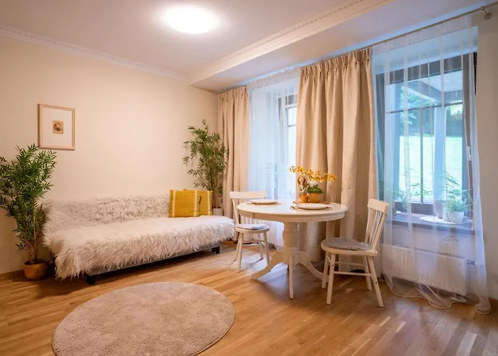 Cozy Roomita アパート *